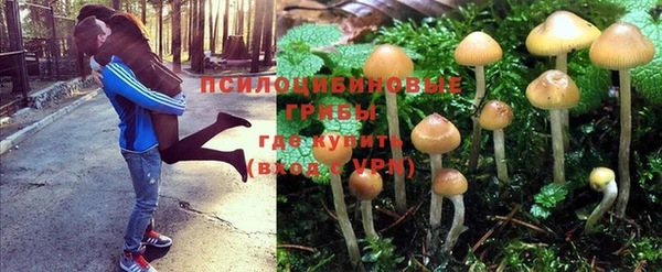 MESCALINE Пересвет