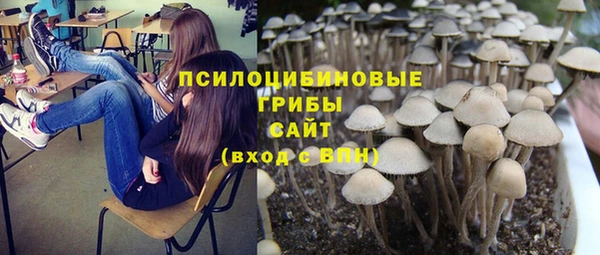прущий лед Переславль-Залесский