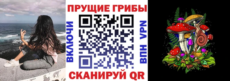 Галлюциногенные грибы прущие грибы Кунгур