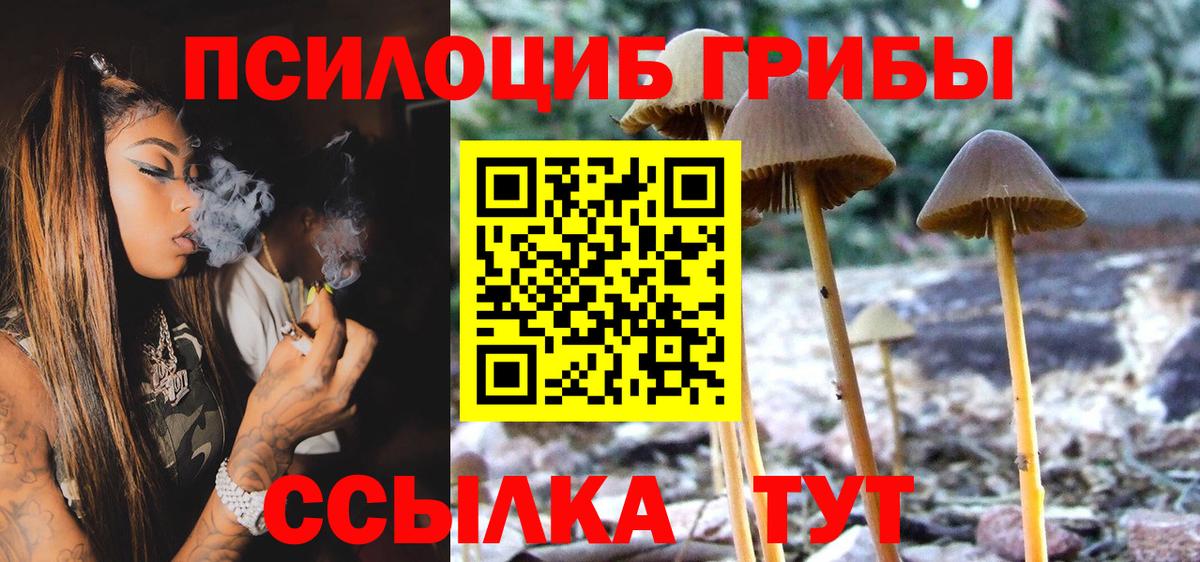Галлюциногенные грибы мицелий Кунгур