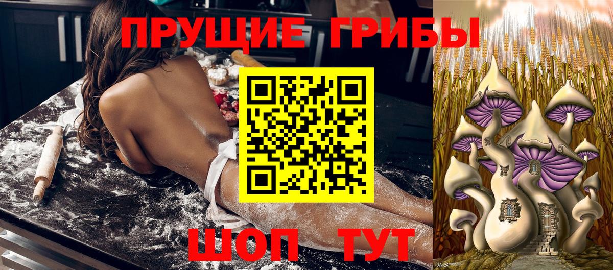 Псилоцибиновые грибы мицелий  Вход с VPN  Кунгур 